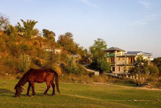 Shepherds Of Dharmshala Villa