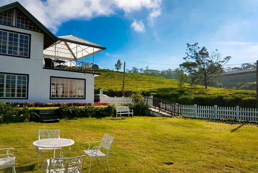 The Tea Garden