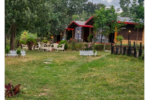 Once Upon A Forest near Pangot (Nainital)