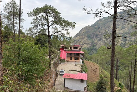 Nature Roar Forest Resort