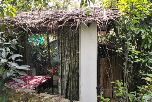 Jungle Cabin Madhuvan