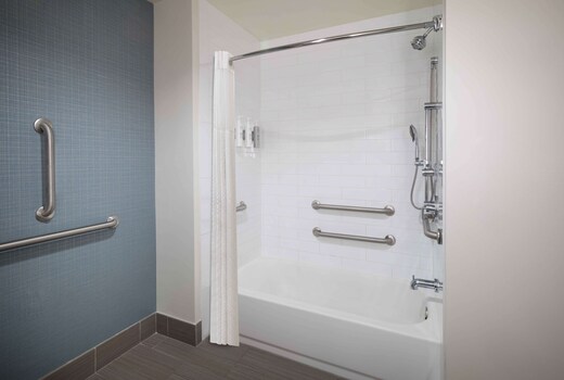 Hampton Inn & Suites Denver Downtown-Convention Center