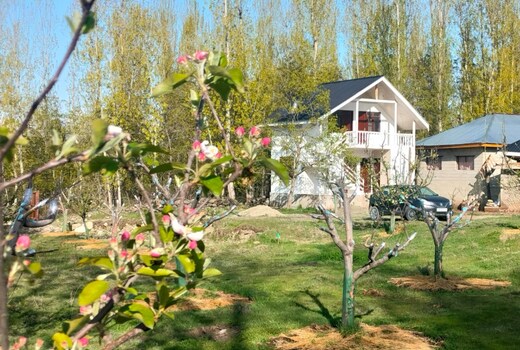 Apple haven