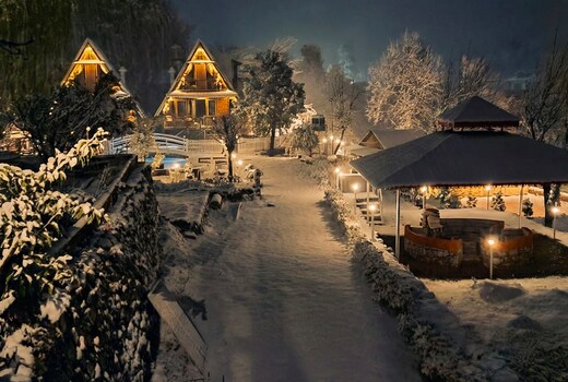 Dreamwoods by Viraasat-E-Bir