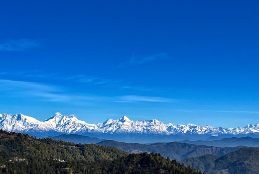 Himalayanblues cottage&stays