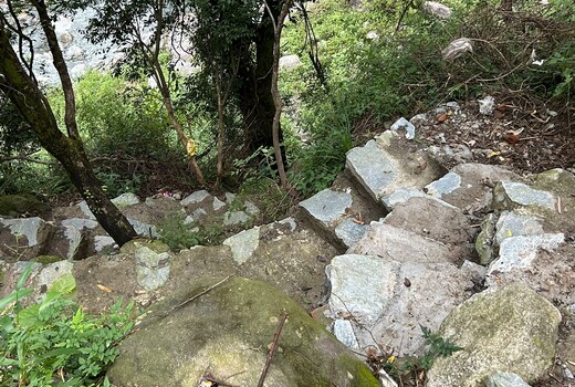 Dhauladhar Inn