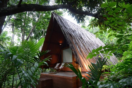 Maachli Homestay | Rooms & Guided Treks