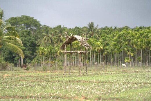 Tulsi homestay