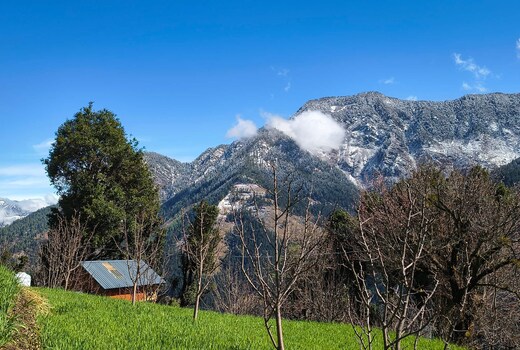 Hari Om Cottage Jibhi Peaceful Mountain Stay