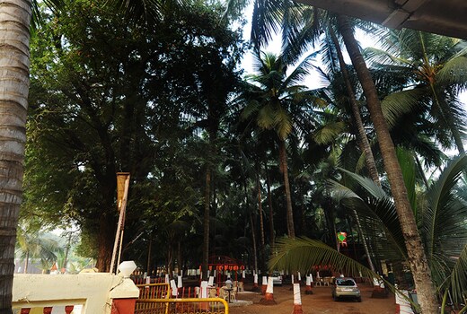 ANISHA RESORT