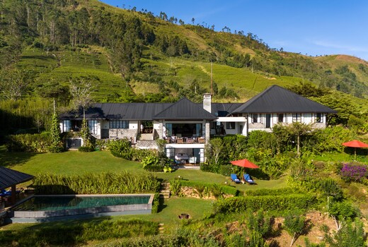 Camellia Hills
