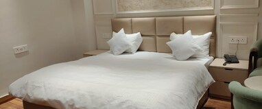 Hotel Amar Palace