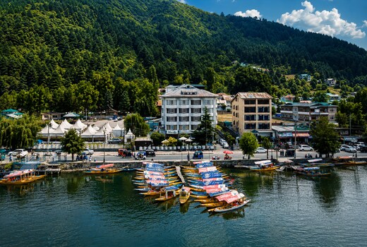 Welcome Hotel Dal View (Lakeside Location)