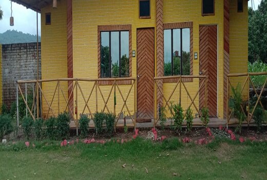 Wood Stone View