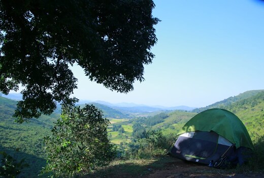 Jungle Camping