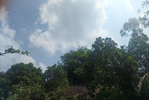 Campes kanthalloor farm