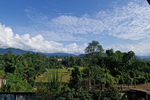 LINYA HOMESTAY