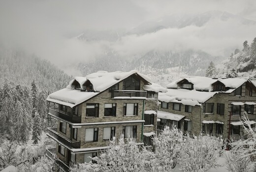 Manali Se - Your Home in Pines