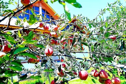The Old Rectory | Entire 4 BHK Cottage