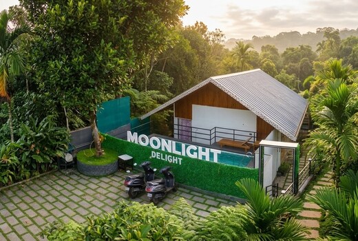 Moonlight Delight