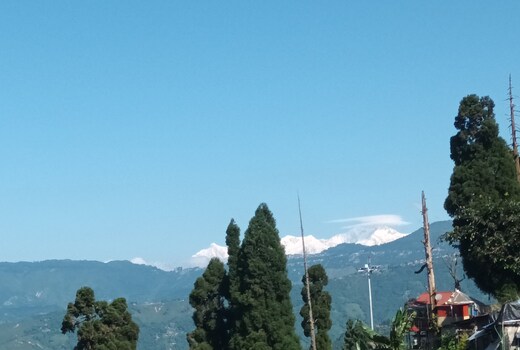 Mist N Mountain