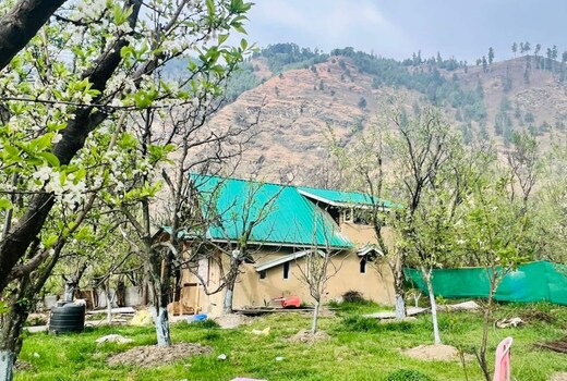Wildflower Oasis cottages