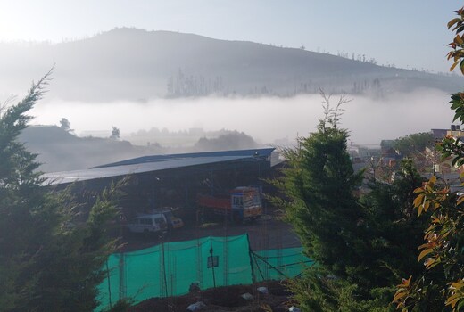 White mist cottage, Ooty