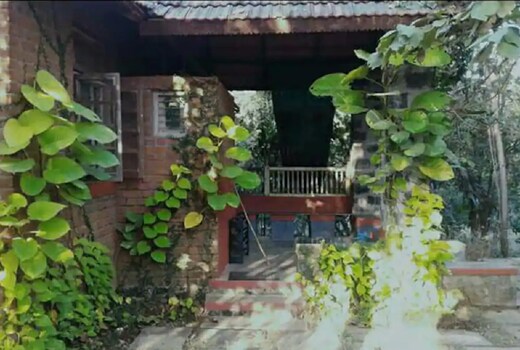Mahua Farms