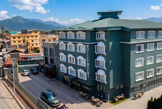 The Olive Hotel (Nearby Airport)