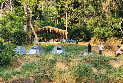 Fire fly camps