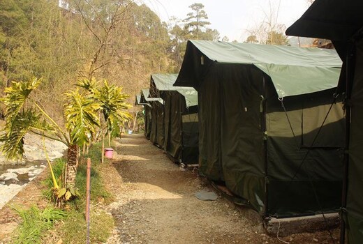 Camp Pine Riviera
