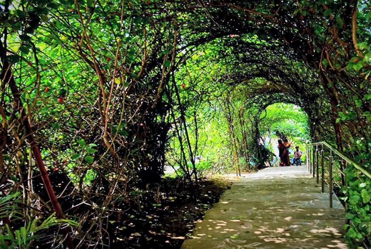 Joychandi Hill Resort