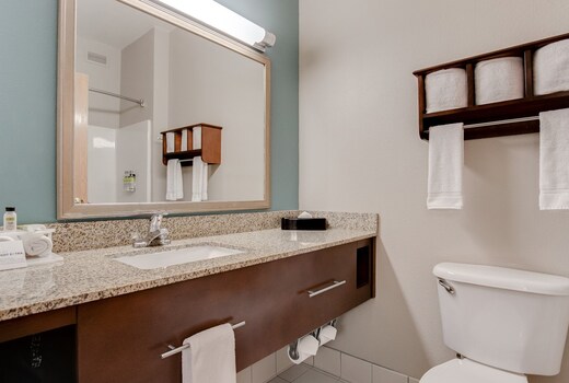 Holiday Inn Express and Suites St. Cloud