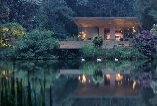 The IBNII COORG