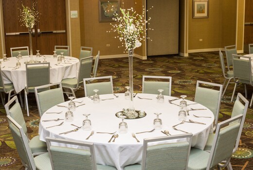 Holiday Inn Hotel & Suites BOLINGBROOK