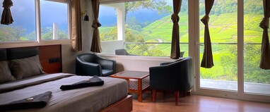 Forestscape Munnar