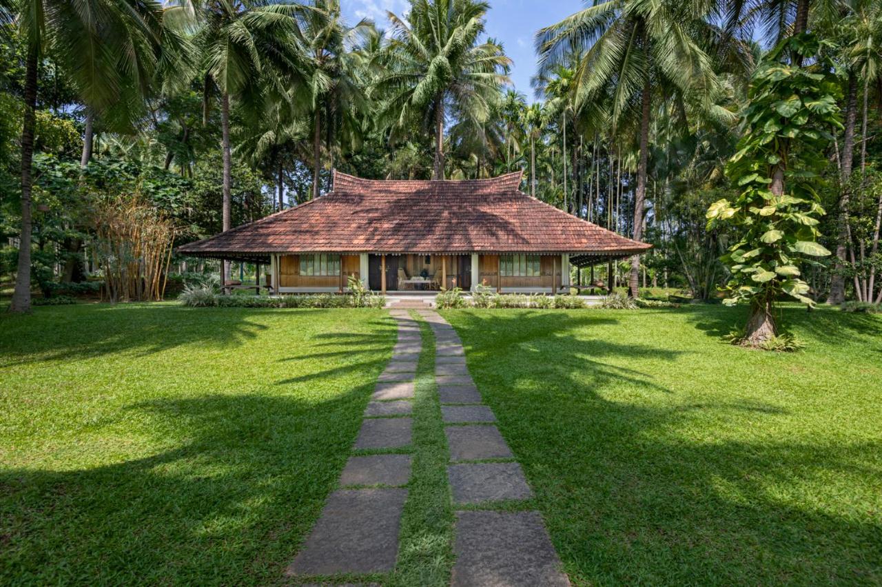 Big Banyan Vineyard & Resort