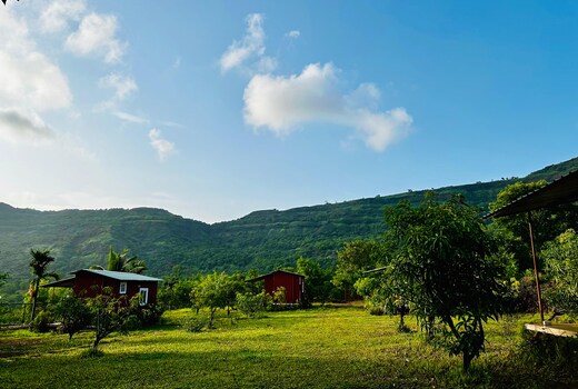 wildflower agro resort