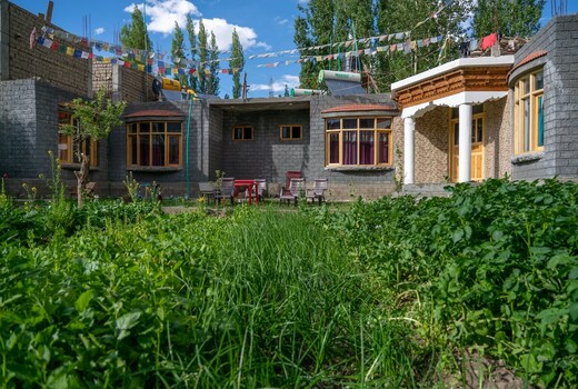 The Fox | Authentic Ladakhi Homestay