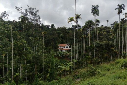 Spice Book Homestay Wayanad