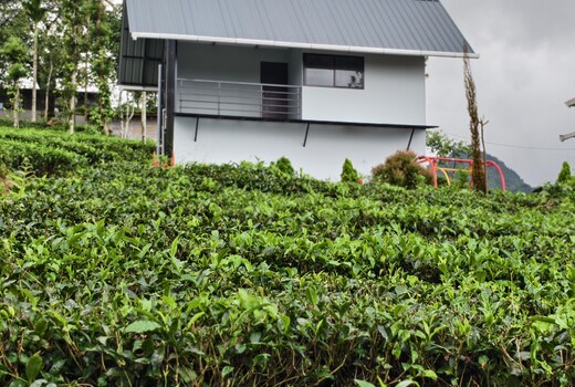 Rattan Hill Plantation Resort