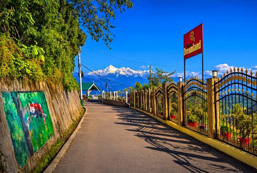 Hotel Dreamland,Darjeeling
