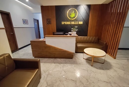 SPRING HILLS SPICE AND SPIRIT
