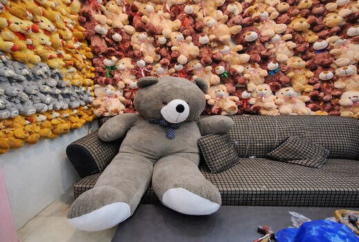 Snuggle Inn Teddy Themed Couple Friendly Service Apartment