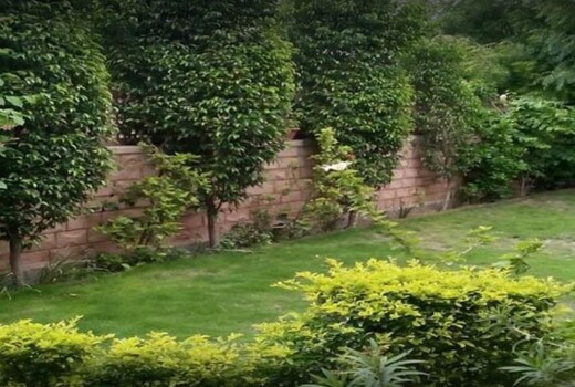Riddhi Siddhi Bhawan Homestay