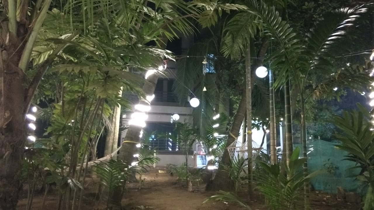 Crazy Coconut - A Backpacker Hostel