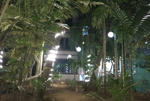 Crazy Coconut - A Backpacker Hostel