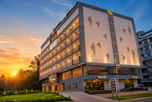 Tulip Arena Raipur
