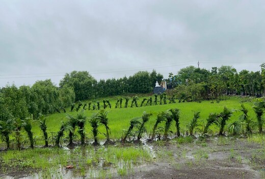 Makkad'S FARMHOUSE