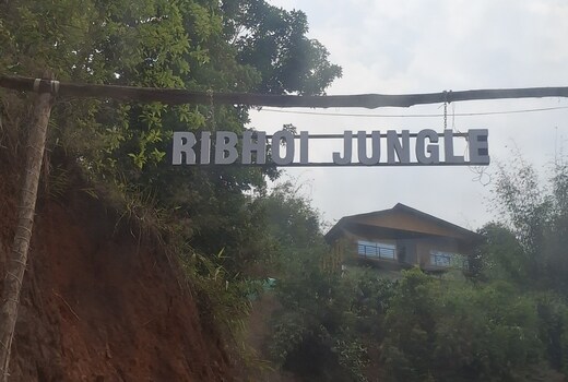 Ribhoi Jungle